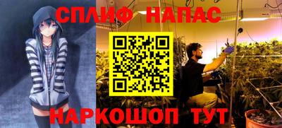 прущие грибы Первоуральск
